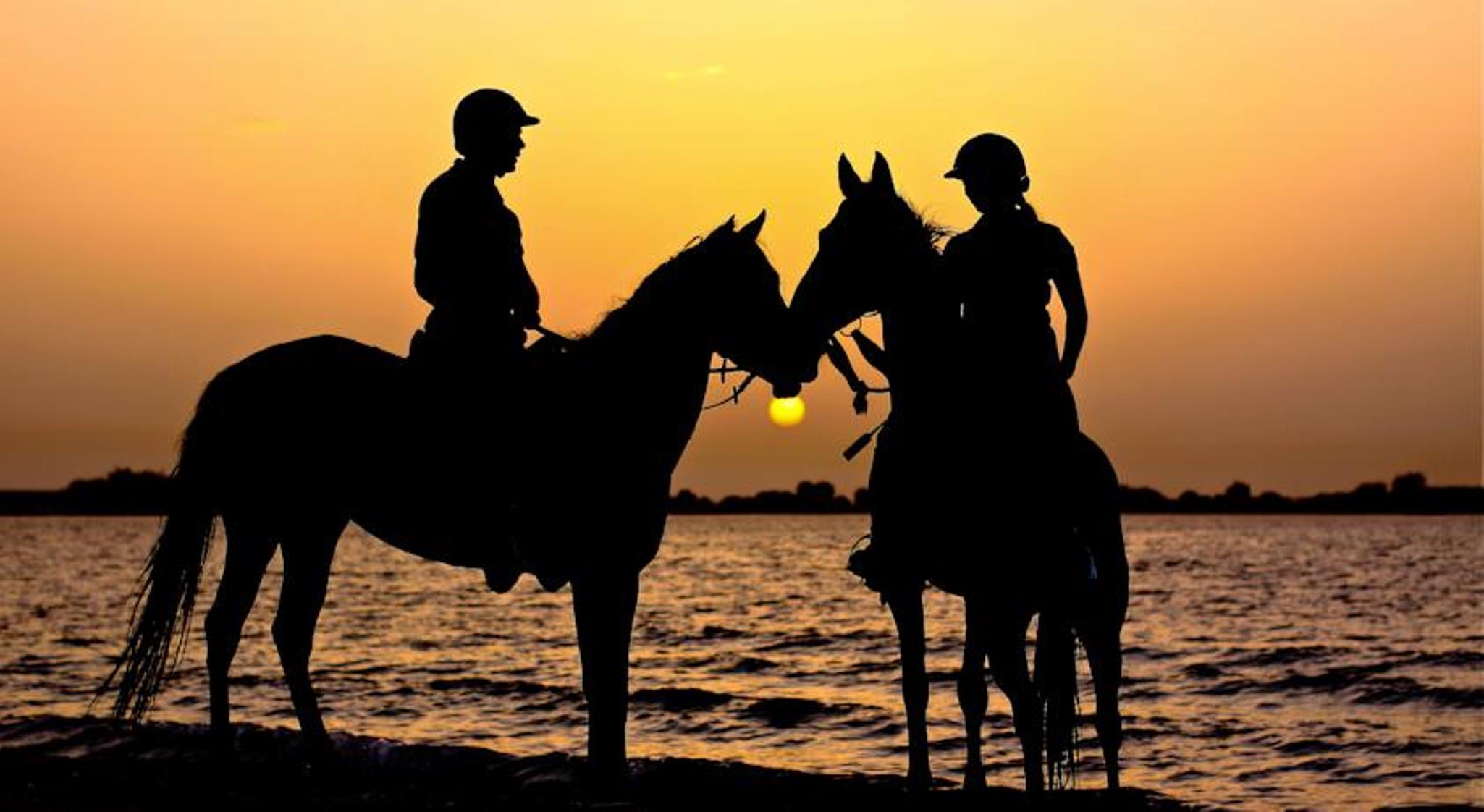 Anantara Sir Bani Yas Island Al Yamm Villa Resort Da'sah Esterno foto