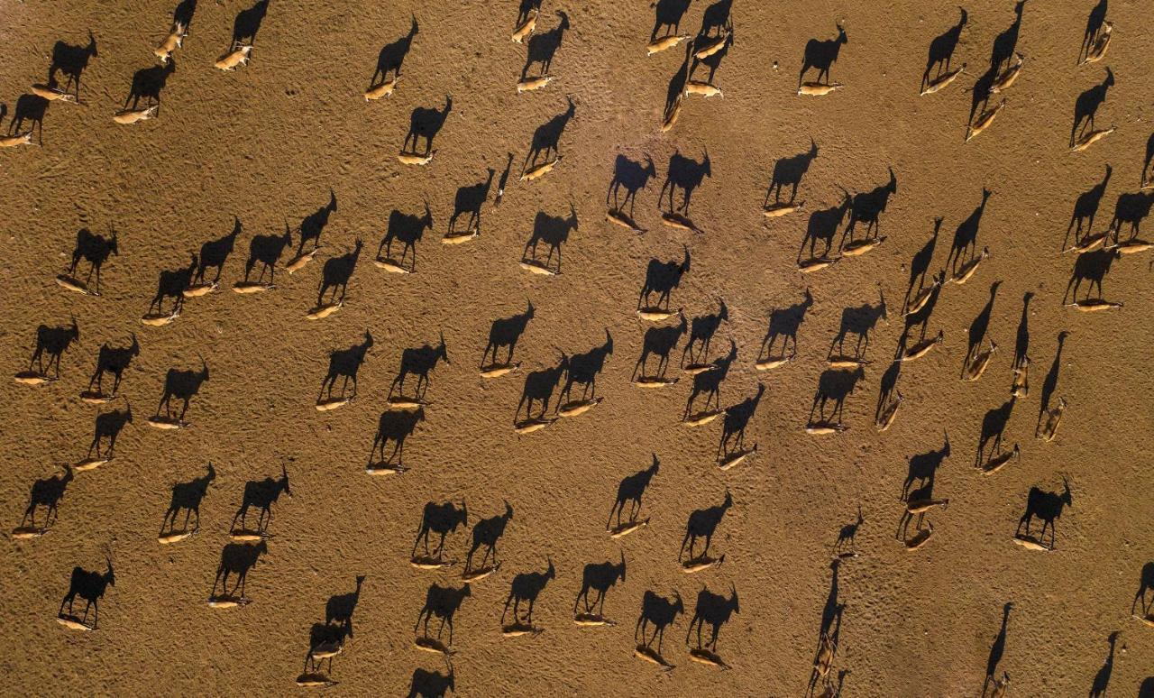 Anantara Sir Bani Yas Island Al Yamm Villa Resort Da'sah Esterno foto